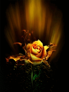 Картинка Роза в сиянии из коллекции Анимация на телефон Розы