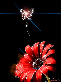 Картинка Хризантема с бабочкой из коллекции Анимация на телефон Цветы анимашки
