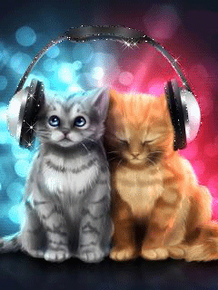 Котята слушают музыку в наушниках.Кошки анимашки