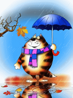 Картинка Прикольный кот из коллекции Анимация на телефон Кошки анимашки