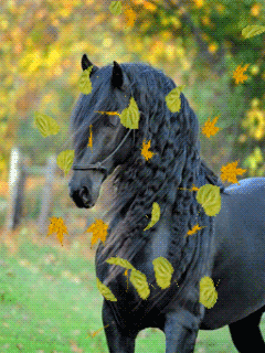 Картинка Лошадь в осенних листьях из коллекции Анимация на телефон Животные
