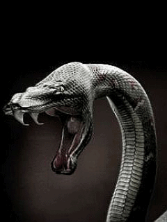 Картинка Змея на мобильный телефон из коллекции Анимация на телефон Животные