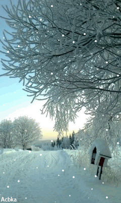 Картинка Красивая зима из коллекции Картинки анимация Природа