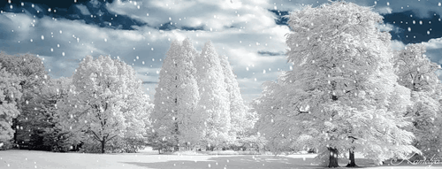 Картинка Снежная зима из коллекции Картинки анимация Природа