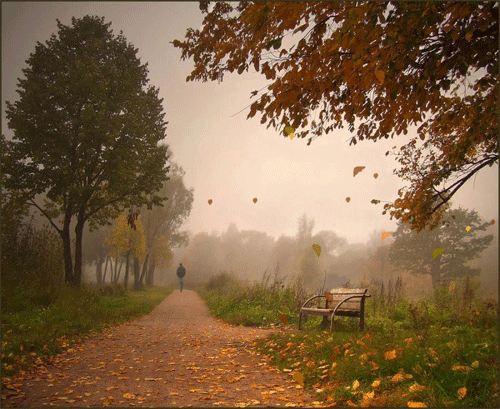 Картинка Осенний листопад из коллекции Картинки анимация Природа
