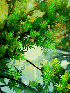 Картинка Луч солнце из коллекции Картинки анимация Природа
