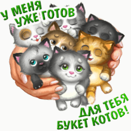 Картинка Букет котов из коллекции Анимация на телефон Анимашки с надписями