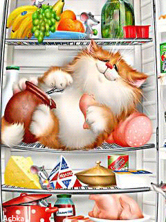 Картинка Кот в холодильнике из коллекции Анимация на телефон Прикольные картинки