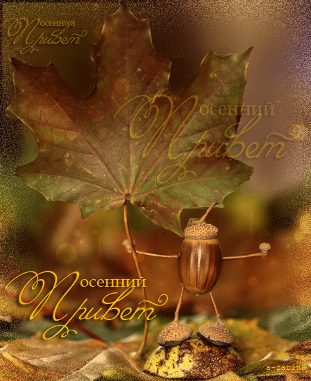 Картинка Осенний привет из коллекции Картинки с надписями Анимашки привет