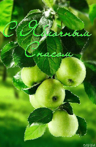 Картинка с праздником Яблочного спаса - Яблочный Спас