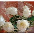 Белые розы красивые