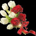 Белые тюльпаны и красные розы