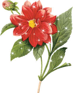 Картинка Красный цветок из коллекции Картинки анимация Цветы