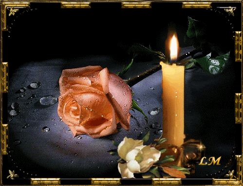 Картинка Свеча и роза из коллекции Картинки анимация Цветы