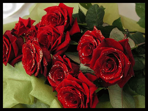 Розы - Цветы красивые