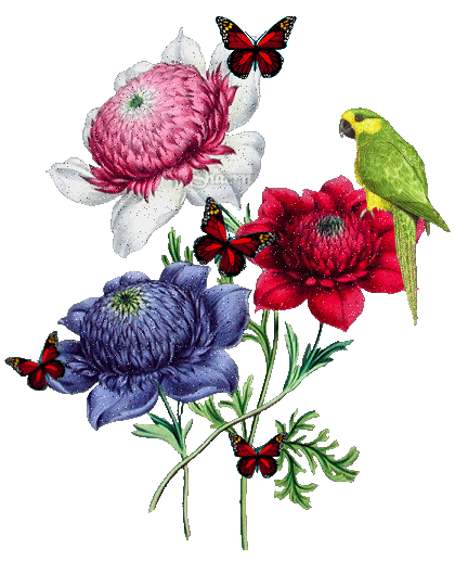 Картинка Цветы, бабочки и попугай из коллекции Картинки анимация Цветы