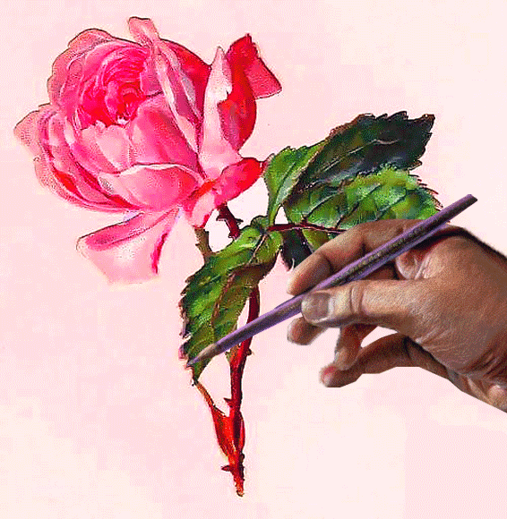 Карандашный рисунок розы - Цветы красивые