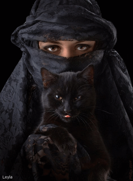 Картинка Женщина в черном и черный кот из коллекции Картинки анимация Девушки