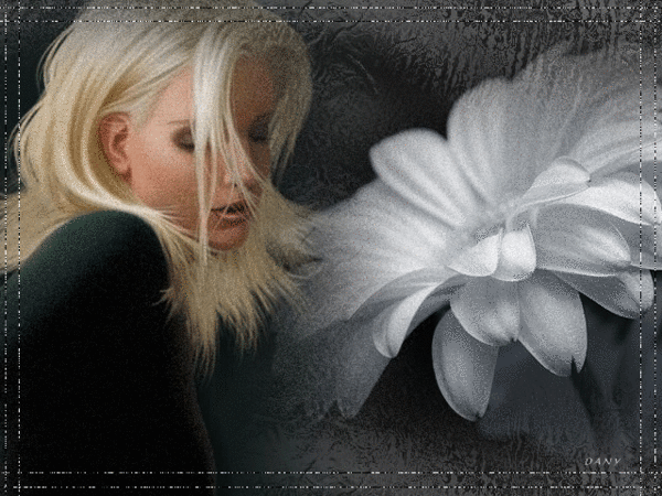 Пленяющий цветок - День блондинок и брюнеток