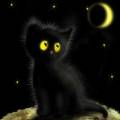 Черный котёнок