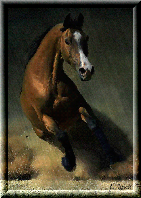 Лошадь - Животные в картинках