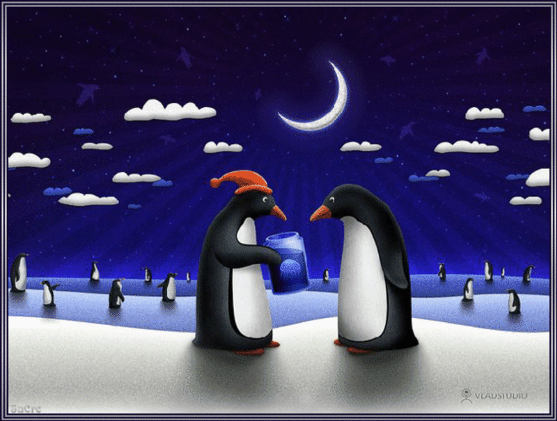 Картинка Пингвины из коллекции Картинки анимация Животные