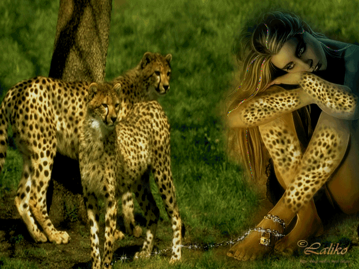 Картинка Леопарды и девушка из коллекции Картинки анимация Животные