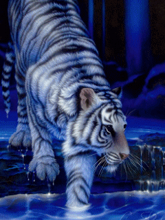 Тигр - Животные в картинках