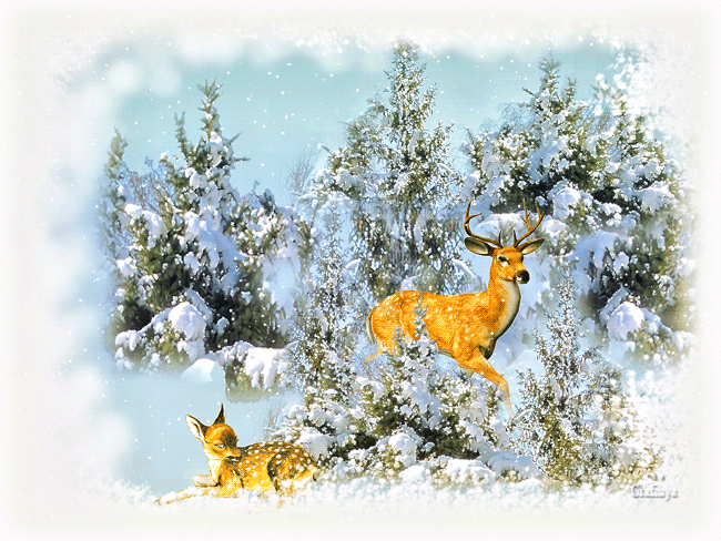Олени в снегу - Животные в картинках