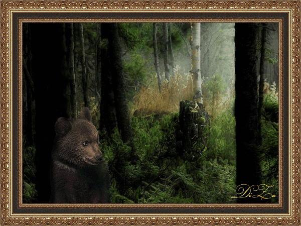 Картинка Медведь в лесу из коллекции Картинки анимация Животные