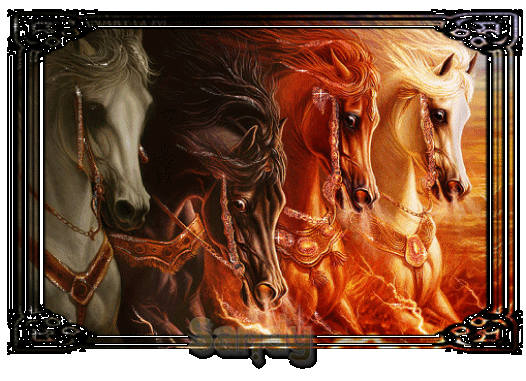 Лошади - Животные в картинках