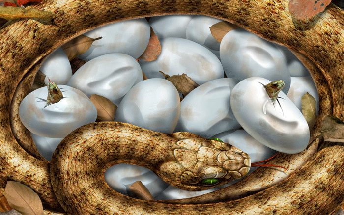 Картинка Змея с яйцами из коллекции Картинки анимация Животные