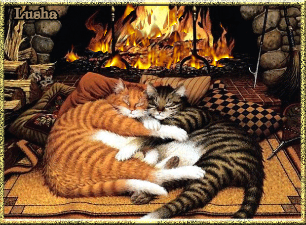 Картинка Спящие коты из коллекции Картинки анимация Животные