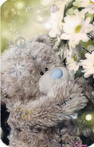 Картинка Мишка Тедди из коллекции Картинки анимация Животные