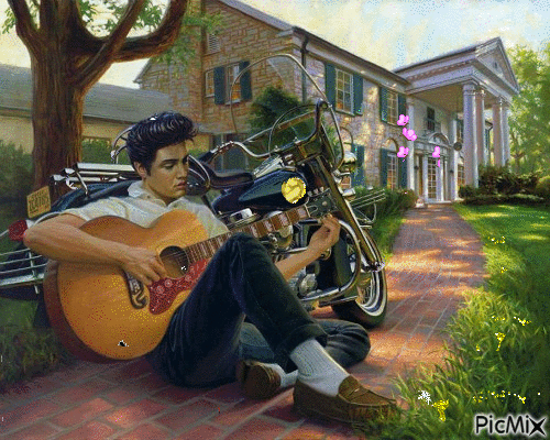 Картинка Элвис Пресли с гитарой из коллекции Картинки анимация Мужчины