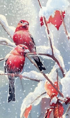 Картинка Птицы зимой из коллекции Картинки анимация Птицы