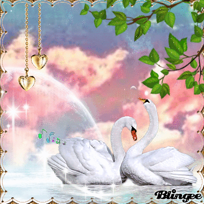 Белые лебеди на воде - Птицы анимированные
