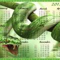 Календарь год змеи 2013