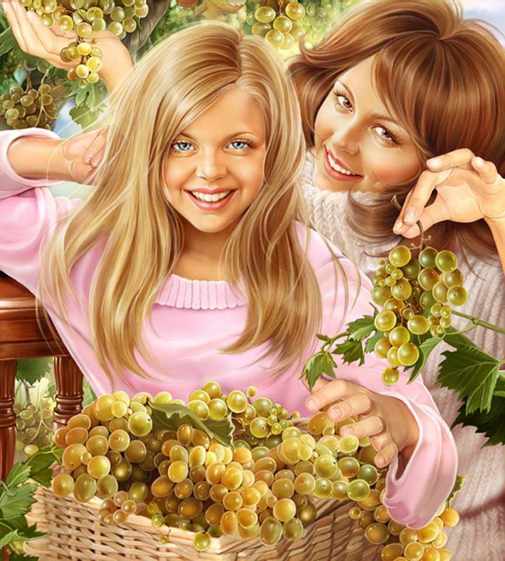 Виноград - Иллюстрации