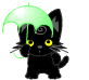 Котёнок с зонтом