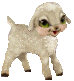 Картинка Маленькая овечка из коллекции Картинки анимация Маленькие картинки