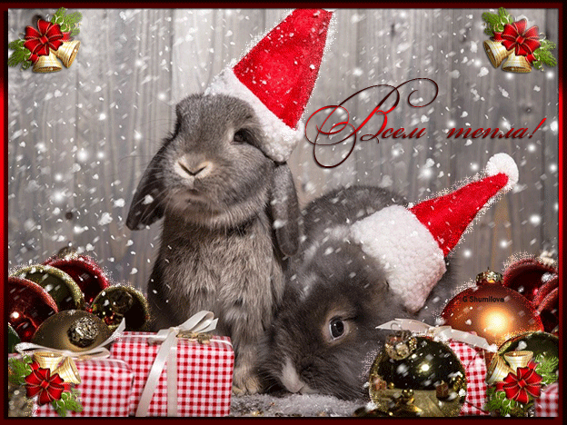 Новогодняя открытка с годом кролика - С Новым годом 2024 - Открытки поздравления №6325
