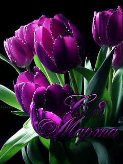 Картинка Тюльпаны на 8 марта из коллекции Открытки поздравления Открытки с 8 марта
