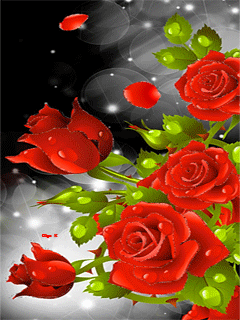 Картинки на телефон розы - Розы