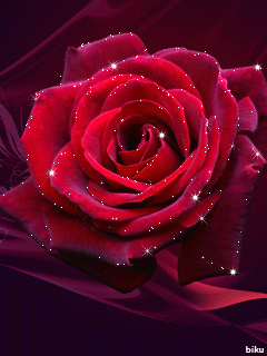 Картинка Бархатная роза из коллекции Анимация на телефон Розы
