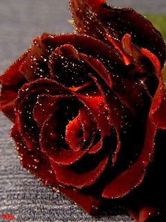 Картинка Сверкающая роза анимашка из коллекции Анимация на телефон Розы
