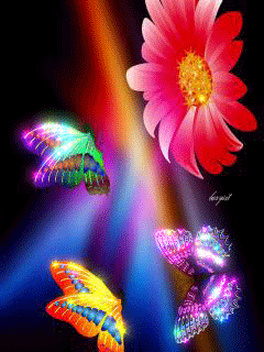 Цветок и бабочки - Цветы анимашки
