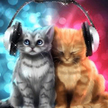 Котята слушают музыку в наушниках