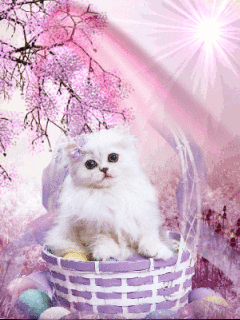 Пасхальная кошечка в корзине с яйцами - Кошки анимашки