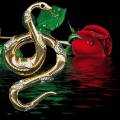 Змея и роза
